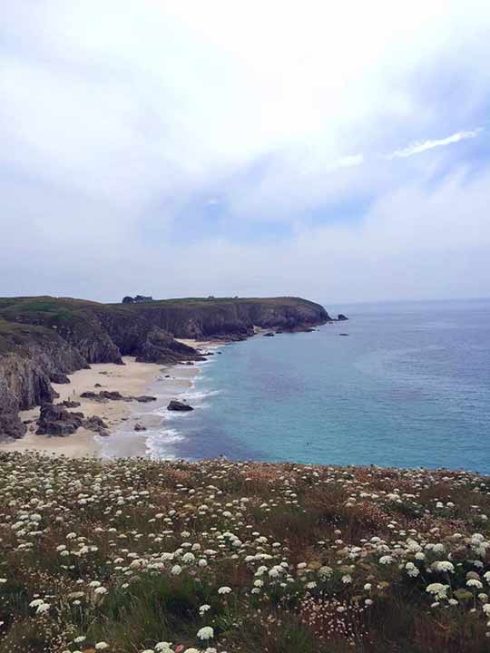 Wohnmobilurlaub mit Hund Frankreich