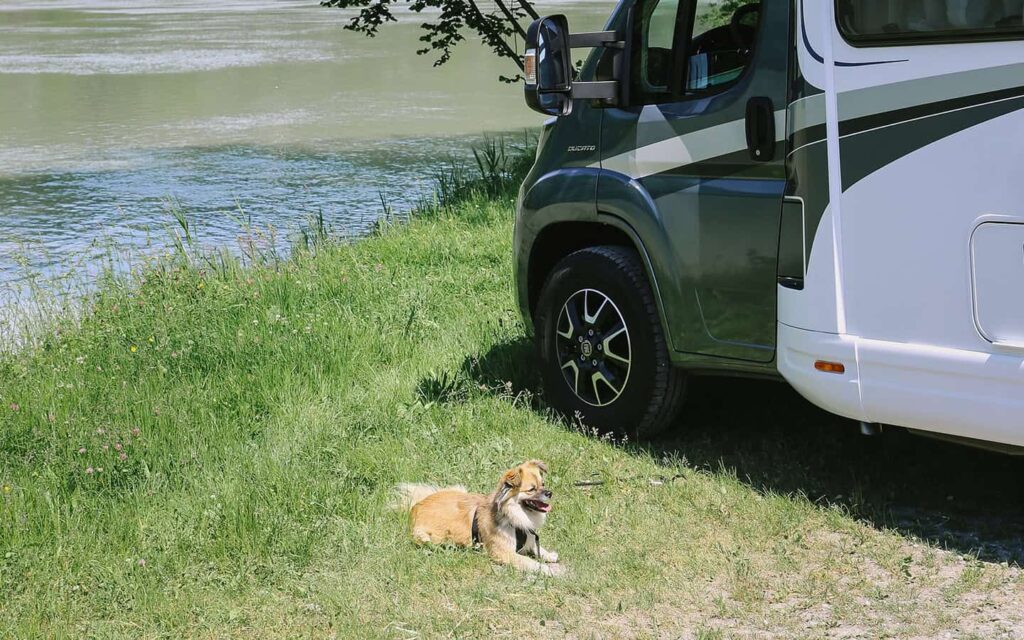 Tipps für Urlaub mit Hund