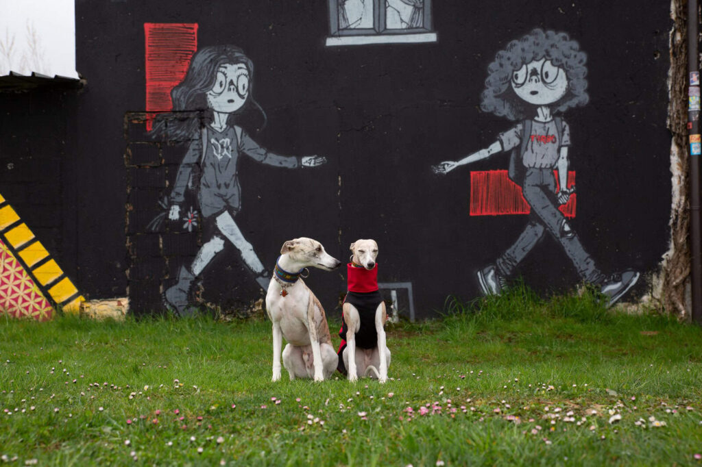 Lancelot und Gretl vor einem Graffiti