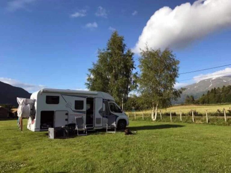 Ein Gast mit Hund im Wohnmobilurlaub