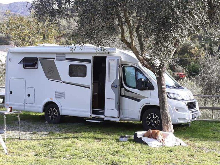 Ein Wohnmobil steht im Grünen, davor liegt ein Hund