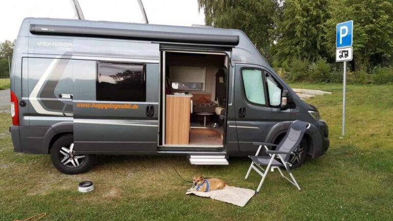 Hund Medo liegt vor dem Camper