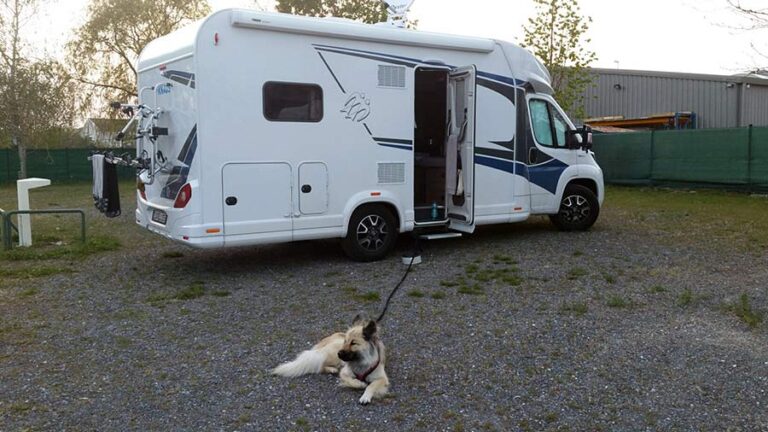 Ein Gast mit Hund im Wohnmobilurlaub