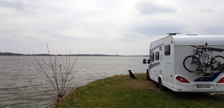 Ein Camper steht an einem See in Polen, die Hündin Nala sitzt daneben