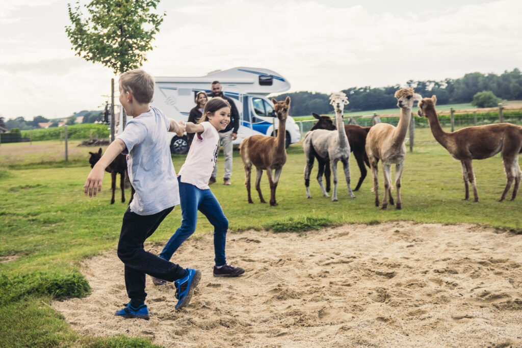 Kinder spielen bei Alpakas vor dem Knaus L!VE Traveller